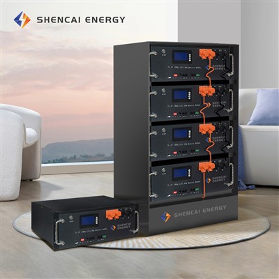 Rack Mounted Lifepo4 Battery 100ah 200ah Solar Storage